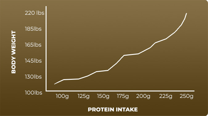 Protein Intake