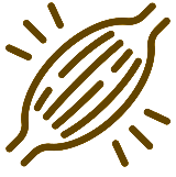 30G TRIGGERS MTOR PATHWAY FOR GROWTH