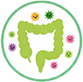 Optimized gut health icon